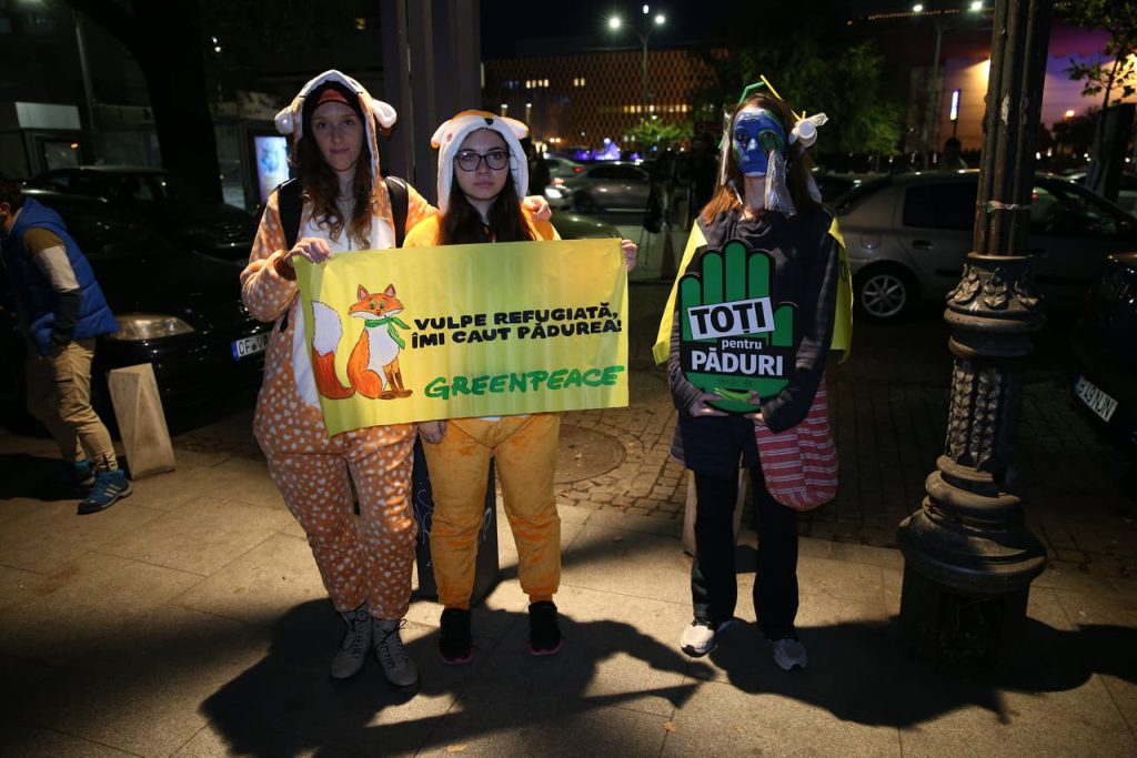 Marșul pentru Păduri |Mii de oameni au ieșit în stradă, în București și în alte orașe, pentru a protesta față de defrișările ilegale: „Pădurea noastră nu e marfa voastră”