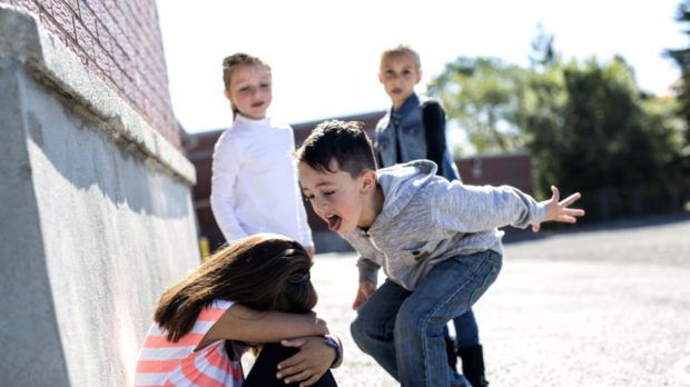 Ministrul educației promite că „fiecare şcoală va avea un grup de acţiune anti-bullying”, la toamnă