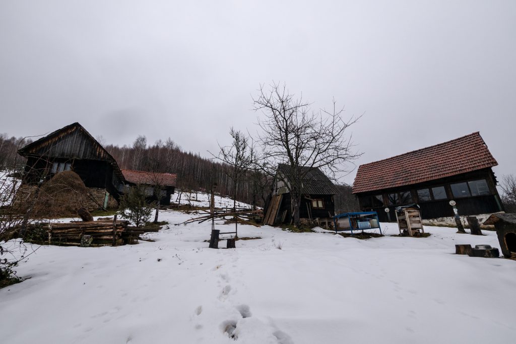 Elevele de la Total Dance Center, abuzate și în Italia - casele din Hunedoara