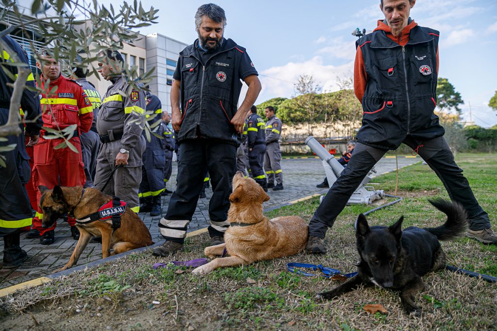 Oameni și câini au muncit împreună în iadul din Albania. Challapa, maidaneza salvată care a devenit salvatoare