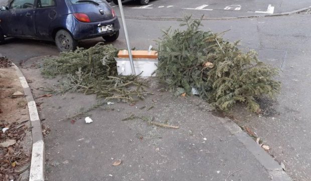 LIBERTATEA TE AJUTĂ. Unde aruncăm brazii de Crăciun