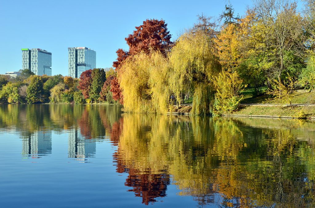 Bâlciul Herăstrău. Cel mai mare parc din București are 43 de cârciumi pe 110 hectare. În Paris, Bois de Boulogne se întinde pe 845 de hectare și are 2 cafenele şi 2 restaurante