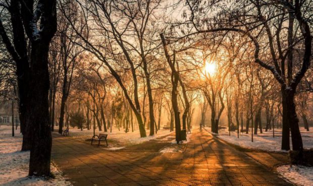 Prognoză specială pentru Bucureşti: Vreme caldă cu maxime de 8-9 grade