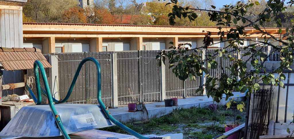 „Ferma de câini” din mijlocul satului. Localnicii reclamă că o vecină crește în curte zeci de animale de luptă. „Când urlă noaptea, zici că suntem în Iad”
