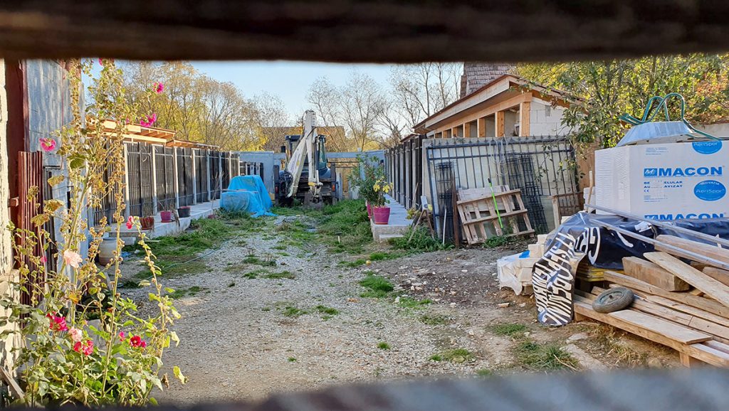 „Ferma de câini” din mijlocul satului. Localnicii reclamă că o vecină crește în curte zeci de animale de luptă. „Când urlă noaptea, zici că suntem în Iad”