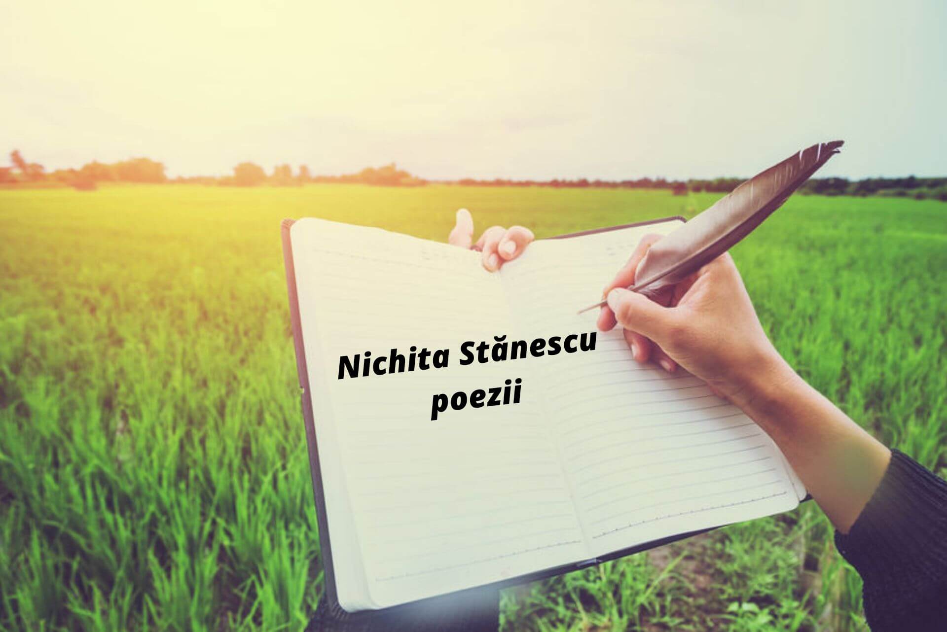 Ringlet The office Abolished Nichita Stănescu Poezii - Versuri Emoționante Scrise De Nichita Stănescu |  Libertatea