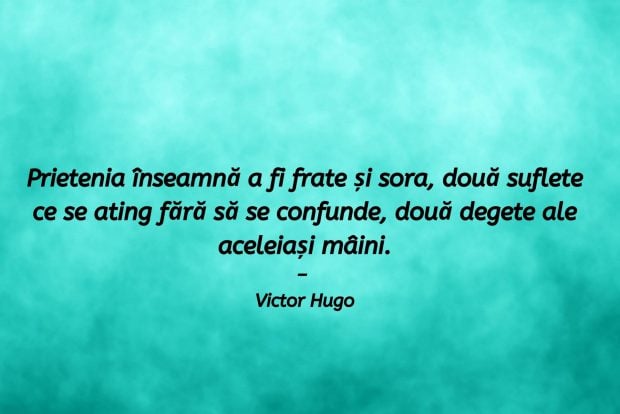 Citate Scurte Versuri Despre Motivație și încredere Libertatea