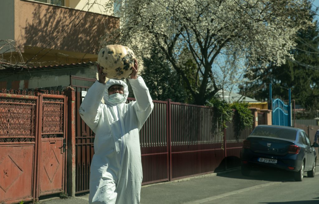Stelian a găsit un dovleac stricat