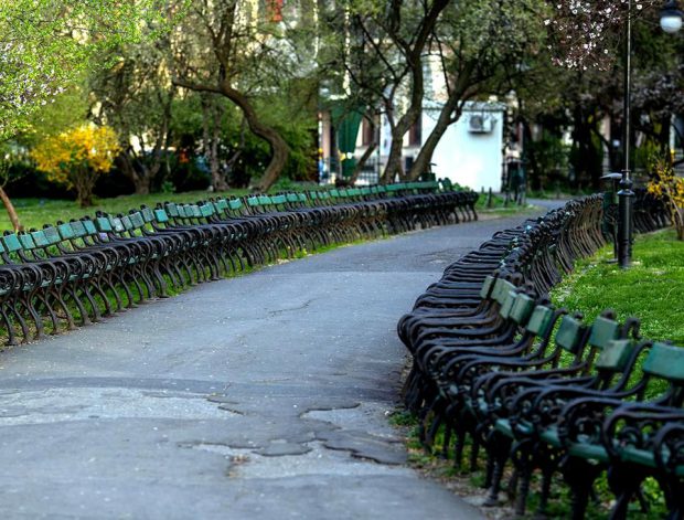 USR a obținut în instanță anularea proiectului de reabilitare a Parcului Cișmigiu, propusă în mandatul Gabrielei Firea