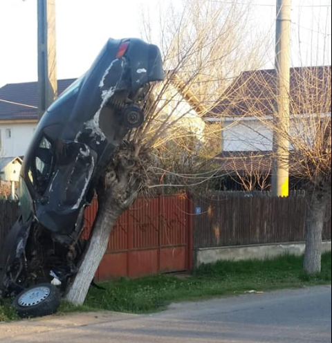 Accident incredibil în Olt: s-a „cocoțat” cu mașina în pom