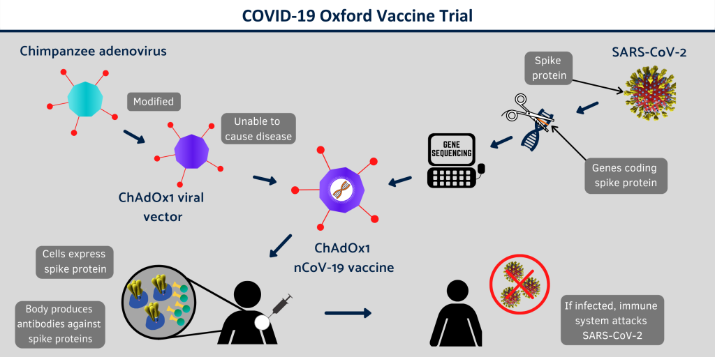 Ce conține vaccinul anti-coronavirus testat pe oameni de Universitatea din Oxford. Un virus prezent la cimpanzei ar putea aduce salvarea