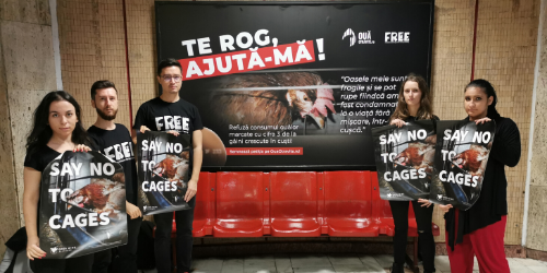 (Publicitate) Ce fel de ouă vopsești de Paști? Evită-le pe cele cu cifra 3!