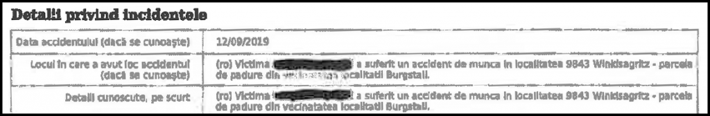 535 de muncitori români accidentați sau morți în pădurile din Austria! “Nu l-am mai putut scoate de sub piatră, 5 minute a durat și a fost mort”