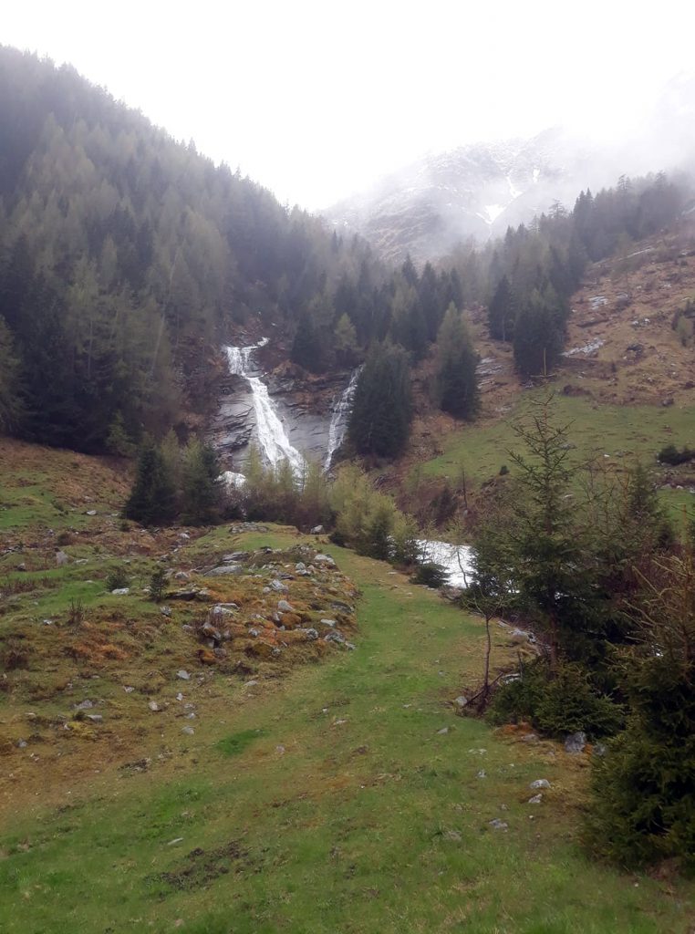 535 de muncitori români accidentați sau morți în pădurile din Austria! “Nu l-am mai putut scoate de sub piatră, 5 minute a durat și a fost mort”