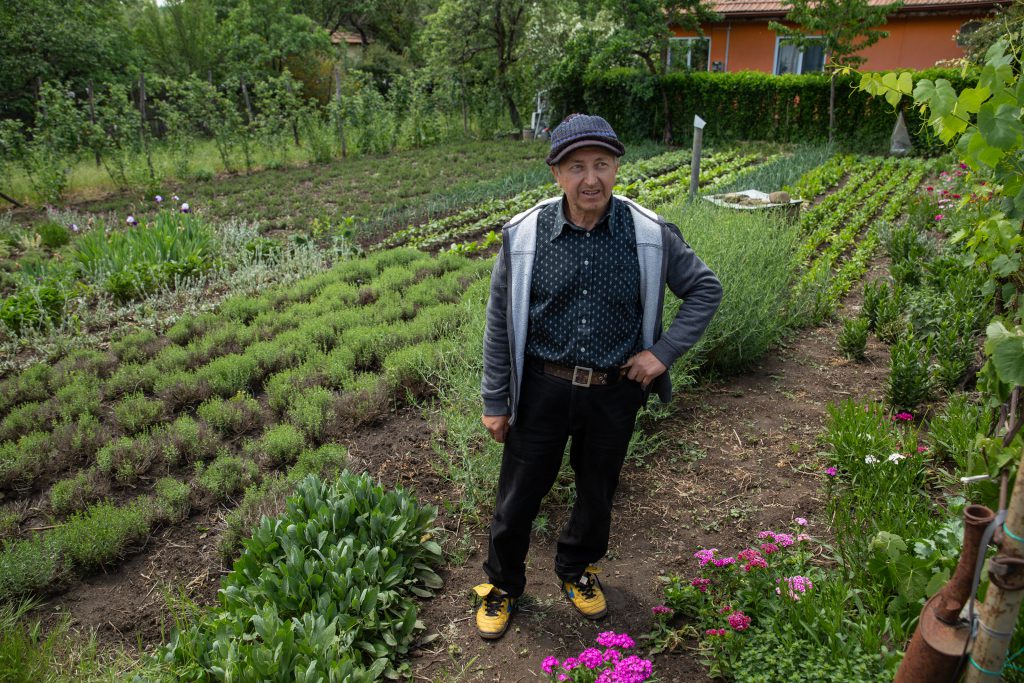Îmblânzitorul de lavandă și mușețel. Pasionat de plantele medicinale, cercetătorul Nicolai Ungureanu a creat reţete proprii de ceaiuri naturale