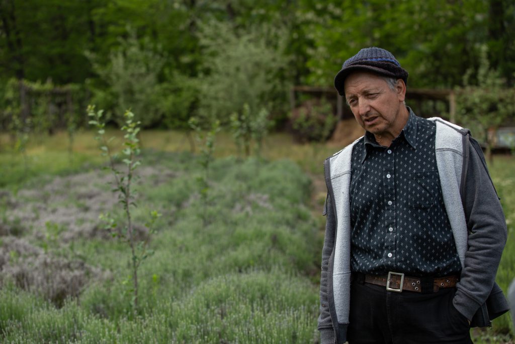 Îmblânzitorul de lavandă și mușețel. Pasionat de plantele medicinale, cercetătorul Nicolai Ungureanu a creat reţete proprii de ceaiuri naturale