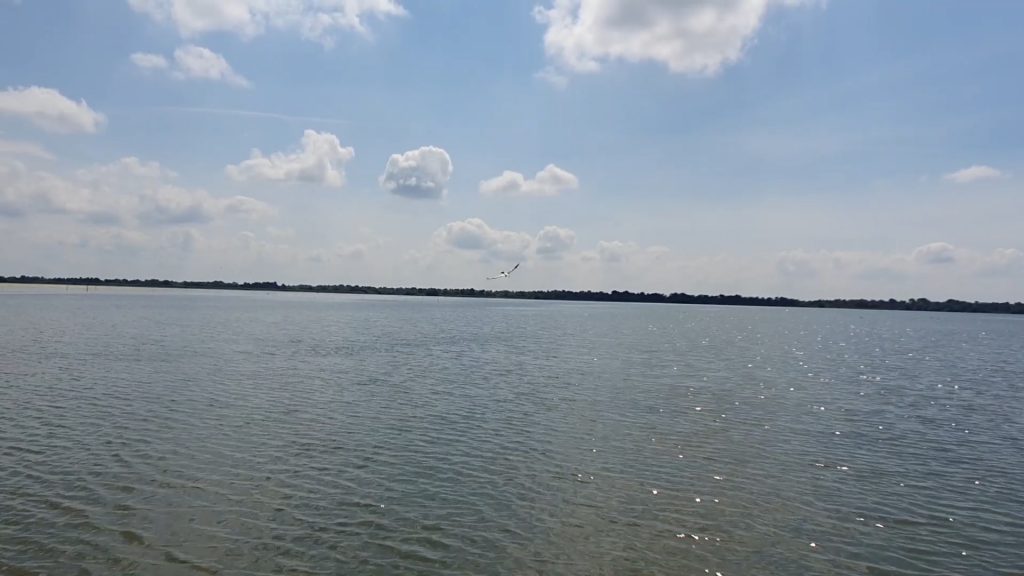 REPORTAJ | Călătorie în Delta Dunării, locul în care pandemia nu a însemnat mai nimic. Izolați dintotdeauna, oamenii abia așteaptă puținii turiști