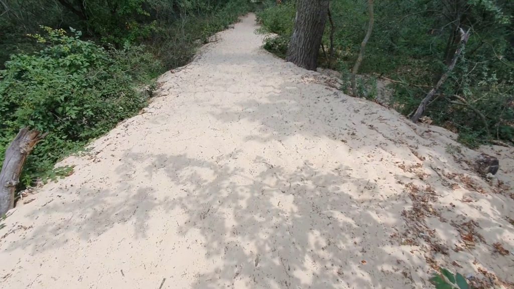 REPORTAJ | Călătorie în Delta Dunării, locul în care pandemia nu a însemnat mai nimic. Izolați dintotdeauna, oamenii abia așteaptă puținii turiști