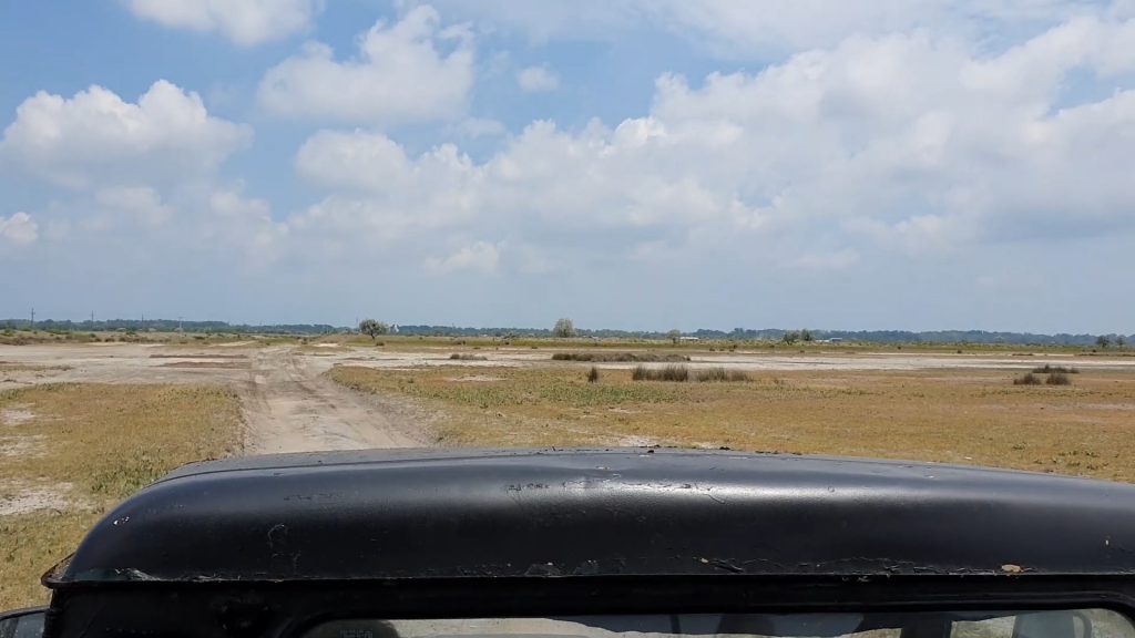 REPORTAJ | Călătorie în Delta Dunării, locul în care pandemia nu a însemnat mai nimic. Izolați dintotdeauna, oamenii abia așteaptă puținii turiști