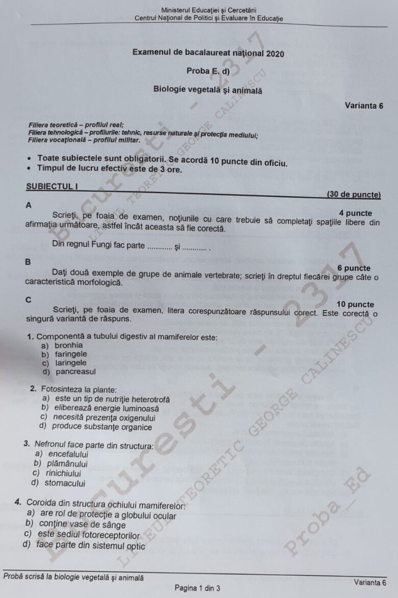 Subiecte BAC 2020. Ce subiecte au avut de rezolvat elevii în 2020