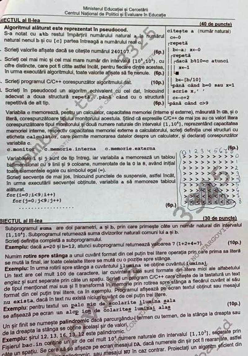 Subiecte BAC 2020. Ce subiecte au avut de rezolvat elevii în 2020