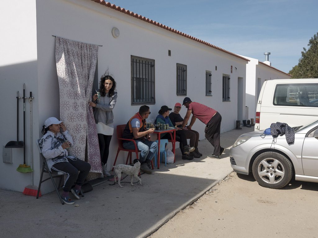 Istoria din câmpurile de căpșuni este istoria noastră, a românilor
