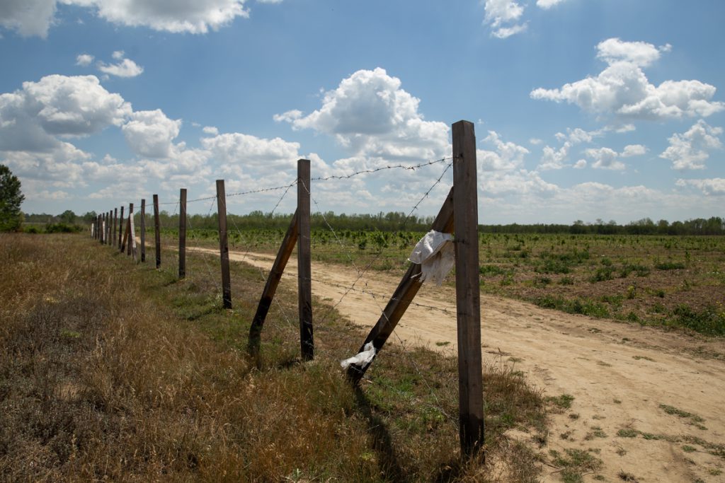 VIDEO | Cum să îngropi 2,4 milioane de euro. La peste doi ani de la primele plantări, Parcul Memoriei Naţionale de lângă Mărășești arată ca un deşert