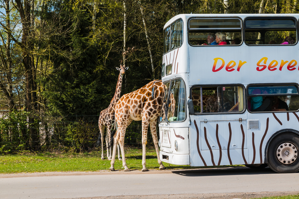 Serengeti Park, Hodenhagen