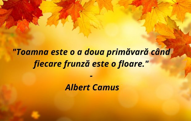Citate Despre Toamnă Versuri Frumoase și Emoționante Citate Despre Toamnă Versuri Frumoase și Emoționante