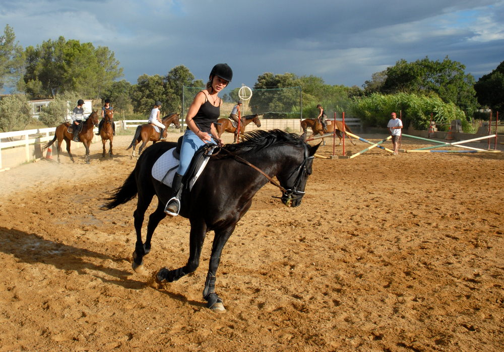 Clubul de echitație Equestria - locuri de vizitat lângă București