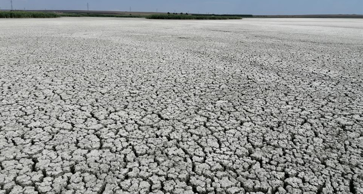 VIDEO | Fenomen alarmant în Delta Dunării. Lacul Nuntași a secat aproape complet. Ce spun specialiștii