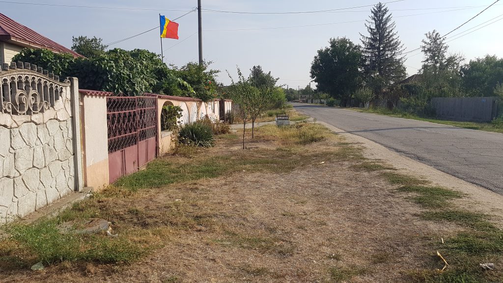 VIDEO | După ce DIICOT a confiscat canabisul din vie, sătenii din Stolnici, Argeş, şi-au amintit: “Acum câţiva ani, poliţiştii au scos cânepa din cimitir”