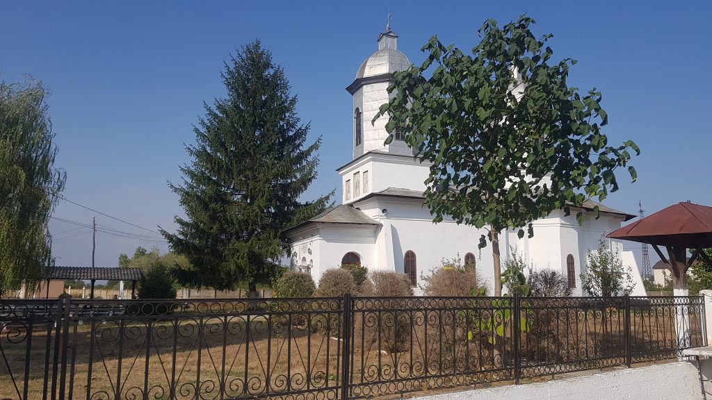 VIDEO | După ce DIICOT a confiscat canabisul din vie, sătenii din Stolnici, Argeş, şi-au amintit: “Acum câţiva ani, poliţiştii au scos cânepa din cimitir”