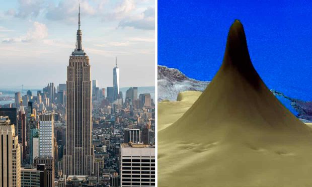 VIDEO | Un recif mai înalt decât Empire State Building a fost descoperit la Marea Barieră de Corali