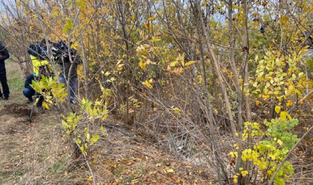 Cadavrul ars găsit pe câmp în Giurgiu e al unei femei tinere. A fost băgată într-o valiză, cu mâinile legate