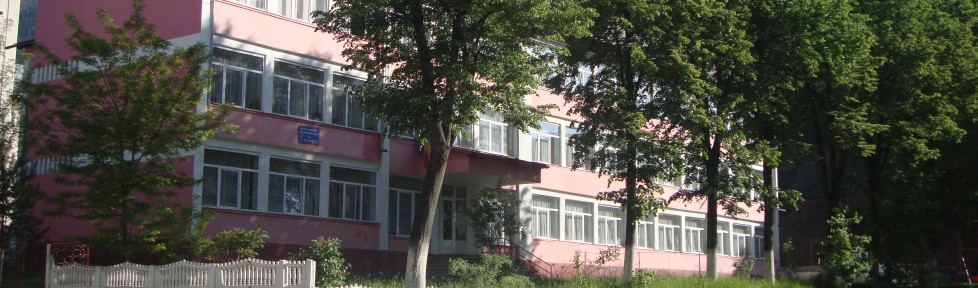 Primarul din Borșa acuză Inspectoratul Școlar că a vrut să ascundă cazul profesoarei care și-a agresat elevii. „Nici vorbă, nu poți tăia capul unui om fără anchetă”