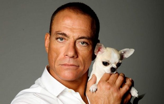 Jean-Claude Van Damme a salvat de la moarte o căţeluşă Chihuahua fără documente legale