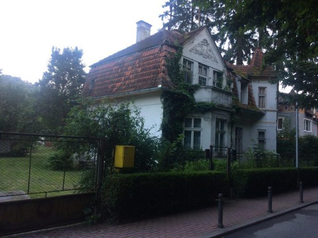 Mumia unei pisici găsite în zidul unei case din Bistrița, licitată la Londra. La ce preț poate fi achiziționată