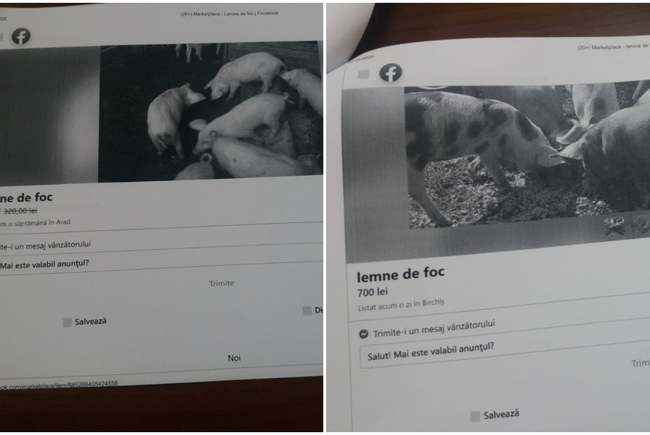 Pesta porcină nu îi împiedică pe arădeni să-și vândă animalele online. Porcii "au devenit" lemne de foc sau pantofi sport