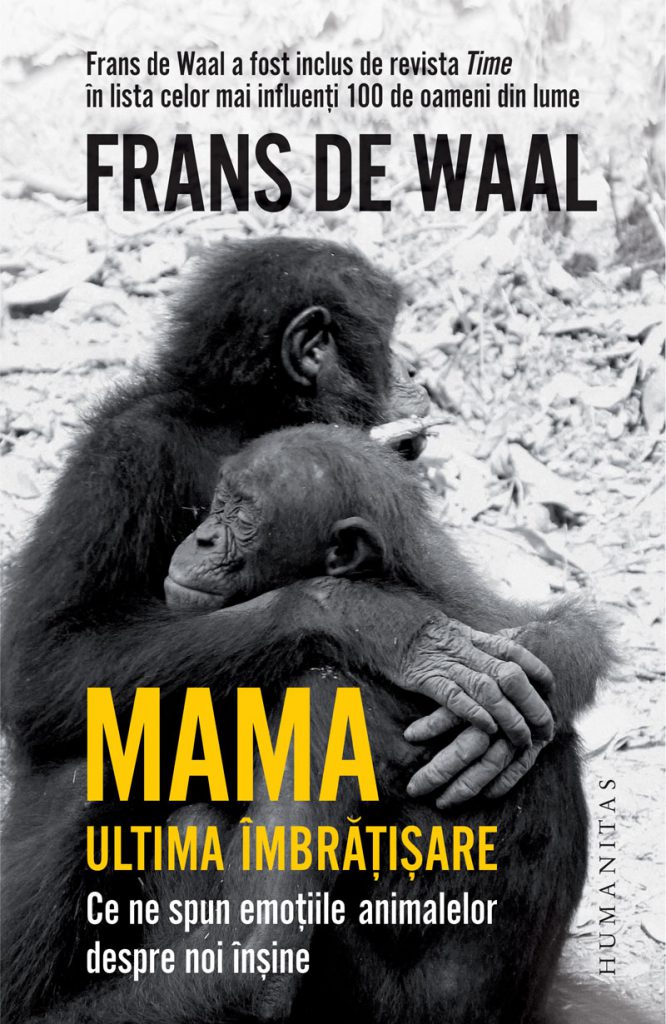 Noutăți editoriale de toamnă. Cele mai noi cărți de nonficțiune apărute la editurile românești