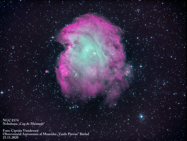 Nebuloasa „Cap de maimuță”, imortalizată de astronomul român Ciprian Vîntdevară. Cât costă echipamentul cu care surprinde imaginile rare