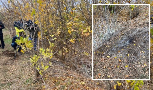 Tânără ucisă, cadavrul carbonizat pe câmp, în Giurgiu: „Ca pe vremea când găseam chinezi în geamantane”