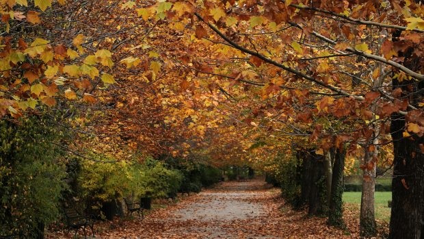 Temperaturi neobișnuit de mari și precipitații schimbătoare, în prima lună de toamnă. Prognoza meteo ANM pentru perioada 31 august – 28 septembrie