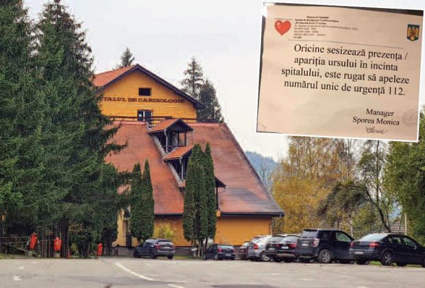 Explicația unui spital din Covasna, după ce a pus afișe în care oamenii erau îndemnați să sune la 112 dacă văd ursul în curtea instituției