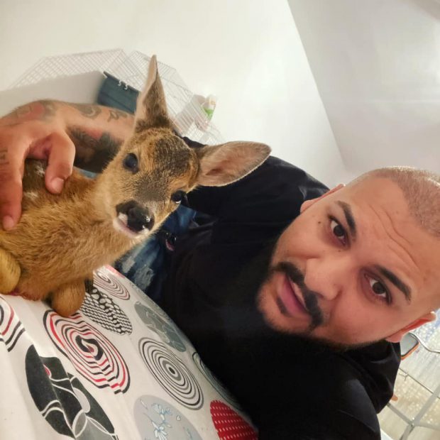 Manelistul Dani Mocanu a postat o fotografie cu un pui de căprioară și sfidează poliția: ”Moș Nicolae, arestează-mă tu!”