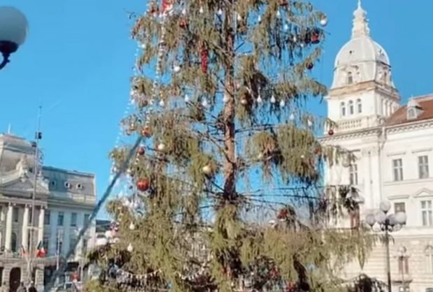 VIDEO | Val de ironii, după ce în centrul Aradului primăria a pus un brad cu prea puține crengi: ”E la mâna a doua”