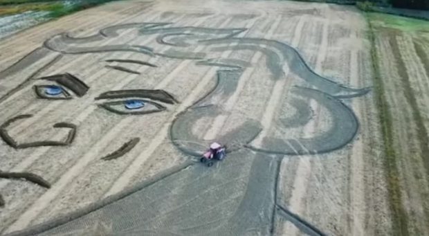 VIDEO | Portretul uriaș al lui Beethoven, realizat cu ajutorul unui tractor pe un câmp în nordul Italiei