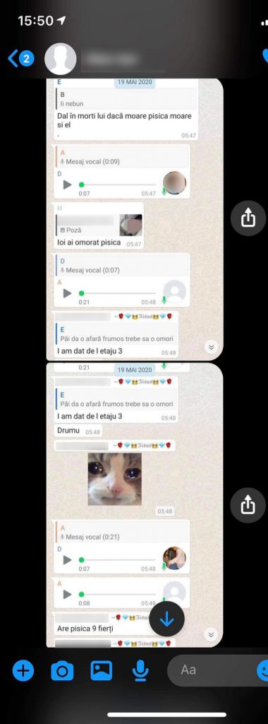 Cum s-au mobilizat șapte românce de acasă și din Europa ca să-l găsească pe tânărul din Alba Iulia care a strangulat o pisică și a filmat când a aruncat-o de la etajul 9
