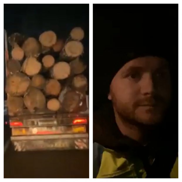 VIDEO | Activistul de mediu Daniel Bodnar, atacat în timp ce urmărea hoții de lemne. Reacția ministrului de Interne