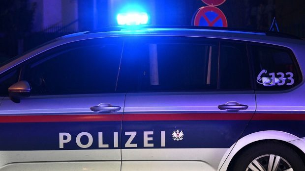 O îngrijitoare din România, prinsă în Austria cu zeci de bijuterii furate ascunse într-un sac de gunoi